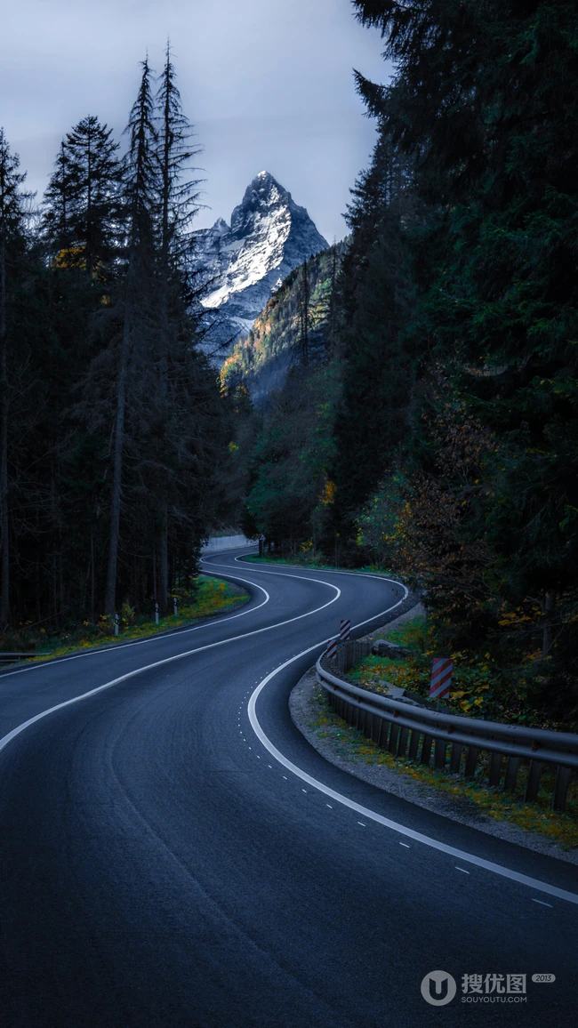 穿梭于森林的S型公路风景
