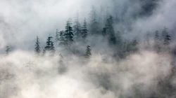 云里雾里环绕大山的雾气唯美风景壁纸图片