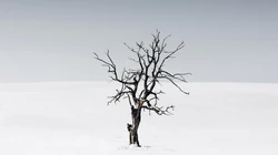 超清精选各类雪地山脉美景的桌面壁纸