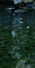 欧阳娜娜纯白LOOK穿搭森系户外写真，坐姿豪迈，清纯脸庞动人