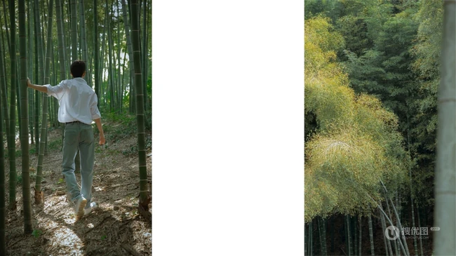 肖战湖畔、公路、茶山、竹林帅气率旅拍写真照