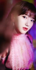 甜美红唇女生毛晓彤粉色公主裙穿着在向日葵背景前超美写真照