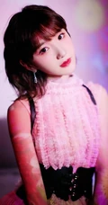 甜美红唇女生毛晓彤粉色公主裙穿着在向日葵背景前超美写真照