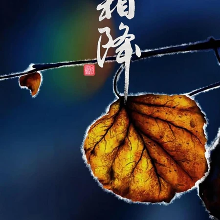 霜降文字图片，天干物燥，昼夜温差大，注意保暖~