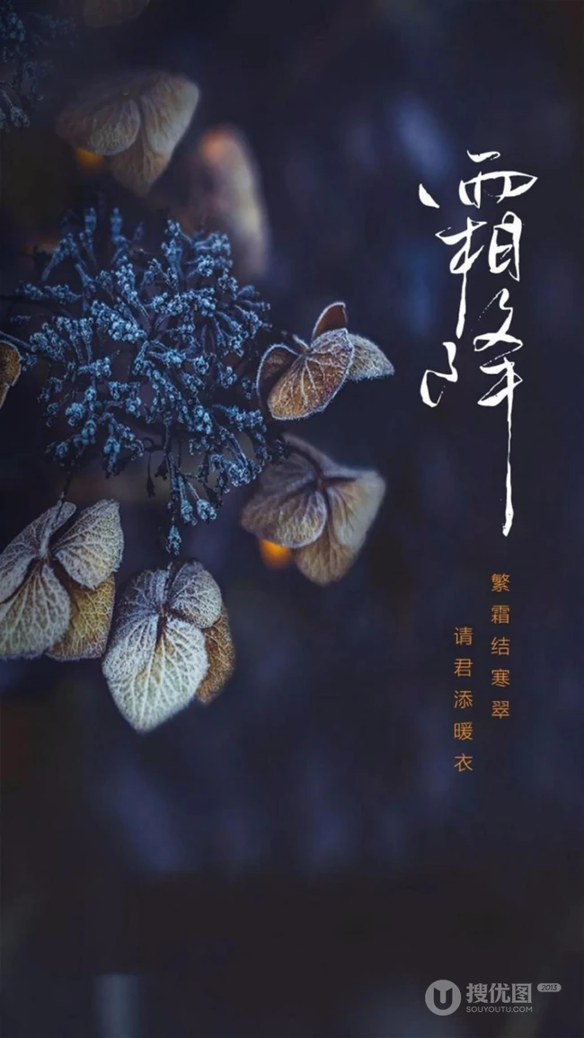 霜降文字图片，天干物燥，昼夜温差大，注意保暖~ 第2张
