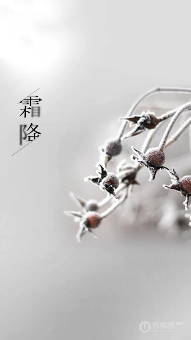 霜降文字图片，天干物燥，昼夜温差大，注意保暖~ 第3张