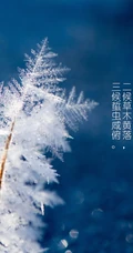 晶莹的雪花，以雪花为背景的二十四节气之霜降文字壁纸美图