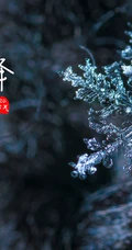 晶莹的雪花，以雪花为背景的二十四节气之霜降文字壁纸美图