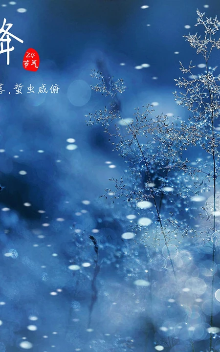 晶莹的雪花，以雪花为背景的二十四节气之霜降文字壁纸美图