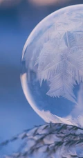晶莹的雪花，以雪花为背景的二十四节气之霜降文字壁纸美图