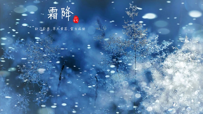 晶莹的雪花，以雪花为背景的二十四节气之霜降文字壁纸美图