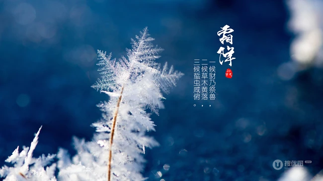 晶莹的雪花，以雪花为背景的二十四节气之霜降文字壁纸美图