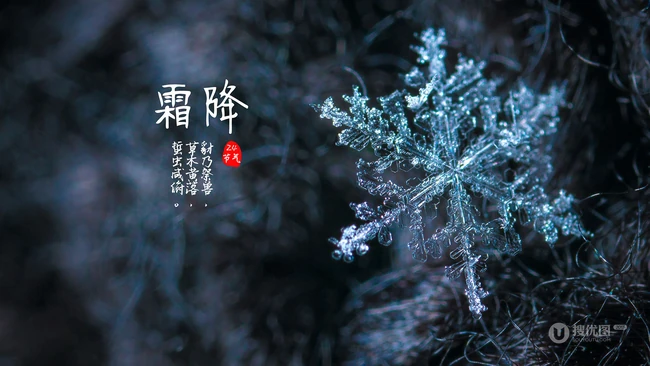 晶莹的雪花，以雪花为背景的二十四节气之霜降文字壁纸美图