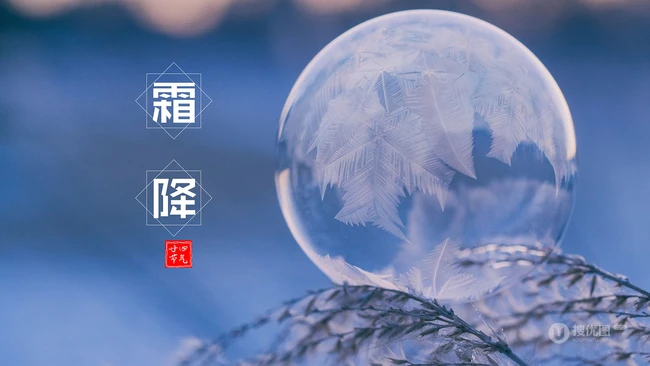 晶莹的雪花，以雪花为背景的二十四节气之霜降文字壁纸美图