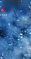 晶莹的雪花，以雪花为背景的二十四节气之霜降文字壁纸美图