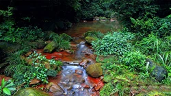 川流不息 溪流 石头 青苔 瀑布 红色石头 赤水佛光岩唯美景色壁纸图片