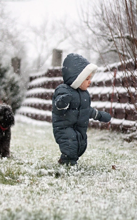 下雪的冬天 草地上 欧美小孩 连衣裤 狮子狗 孩子手机壁纸图片