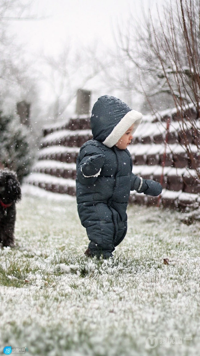 下雪的冬天 草地上 欧美小孩 连衣裤 狮子狗 孩子手机壁纸图片