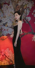 万茜黑色V领开叉长裙礼服优雅魅力气质活动写真图片