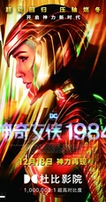 《神奇女侠1984》超能回归，压轴燃冬主题、盖尔&middot;加朵个人宣传海报图片