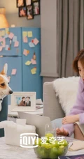 罗云熙，白鹿主演的《半是蜜糖半是伤》高清剧情剧照人物图片