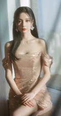 沈梦辰优雅气质金粉色轻纱礼裙裙礼服显动人美肩锁骨写真照