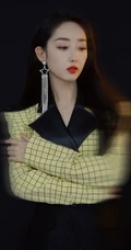 蒋梦婕优雅大方活动写真照，闪亮耳饰搭配格纹大衣，气质动人