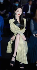 蒋梦婕优雅大方活动写真照，闪亮耳饰搭配格纹大衣，气质动人