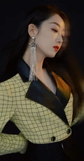 蒋梦婕优雅大方活动写真照，闪亮耳饰搭配格纹大衣，气质动人