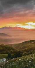 美丽的大自然森林大山的护眼桌面壁纸合集分享