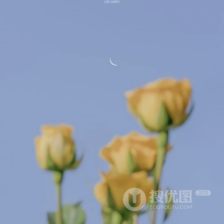 蓝色背景，简单干净风格的轮船、天鹅、书本、女孩等风景系列QQ头像图片