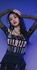 白鹿朋克风酷星钻上衣工装长裤搭配亮相双11晚会活动写真美照