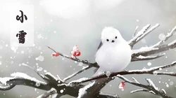 雪落纷纷，节气小雪带文字唯美高清壁纸图片