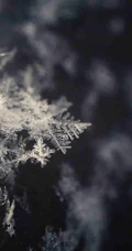 12月你好创意美图，以冰花、雪花为背景的12月你好带句子文字图集