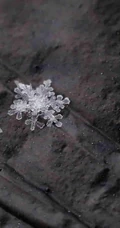 12月你好创意美图，以冰花、雪花为背景的12月你好带句子文字图集