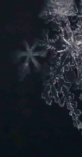 12月你好创意美图，以冰花、雪花为背景的12月你好带句子文字图集