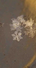 12月你好创意美图，以冰花、雪花为背景的12月你好带句子文字图集