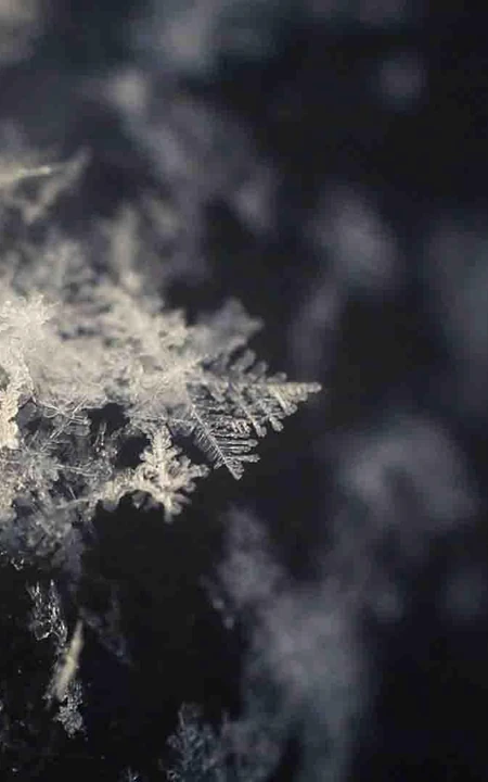 12月你好创意美图，以冰花、雪花为背景的12月你好带句子文字图集