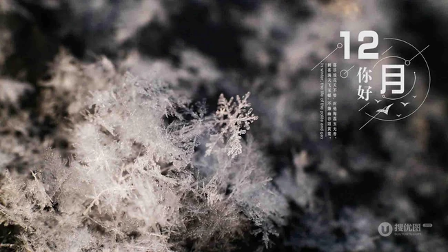 12月你好创意美图，以冰花、雪花为背景的12月你好带句子文字图集
