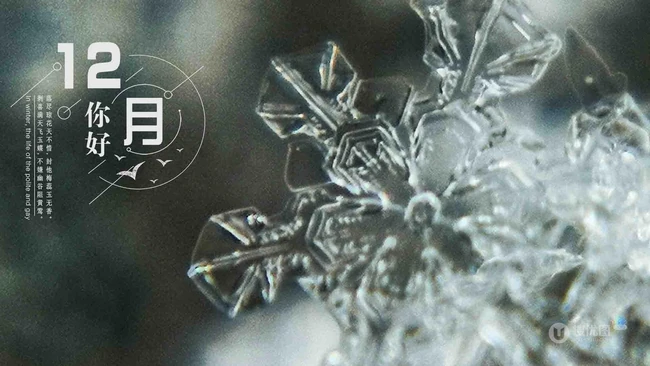 12月你好创意美图，以冰花、雪花为背景的12月你好带句子文字图集