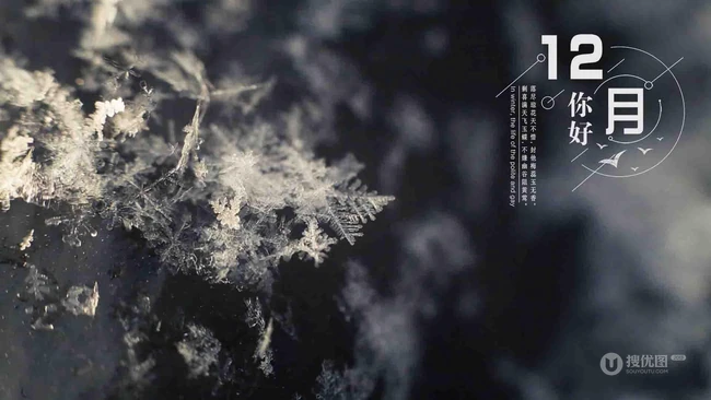 12月你好创意美图，以冰花、雪花为背景的12月你好带句子文字图集