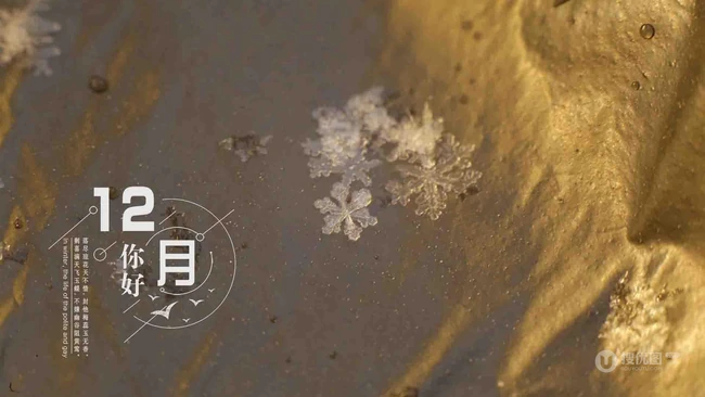 12月你好创意美图，以冰花、雪花为背景的12月你好带句子文字图集