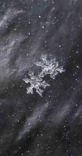 12月你好创意美图，以冰花、雪花为背景的12月你好带句子文字图集