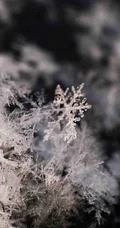 12月你好创意美图，以冰花、雪花为背景的12月你好带句子文字图集