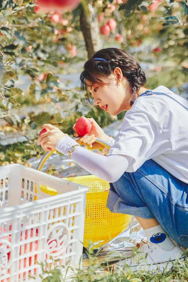 邢菲可爱麻花辫发型搭配背带牛仔裤体验上山摘苹果活动美照