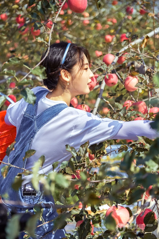 邢菲可爱麻花辫发型搭配背带牛仔裤体验上山摘苹果活动美照