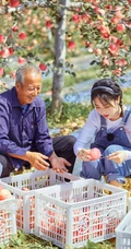 邢菲可爱麻花辫发型搭配背带牛仔裤体验上山摘苹果活动美照