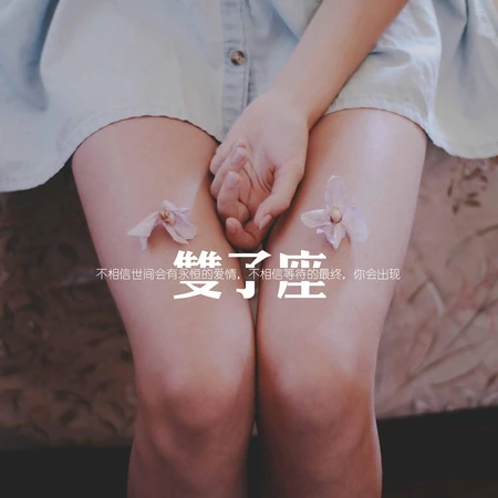唯美双子座文字图片，以一对，一双为主题的双子座欧系风格意境图片