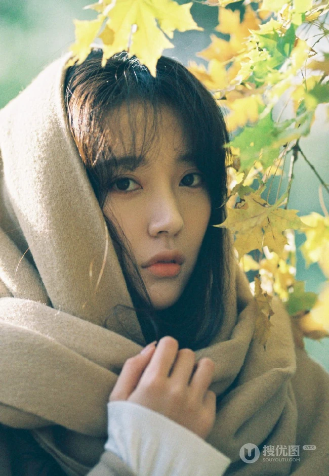 安泳畅唯美深秋与路边树木，落叶街拍写真美照