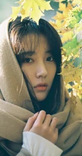 安泳畅唯美深秋与路边树木，落叶街拍写真美照